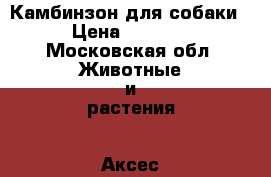 Камбинзон для собаки › Цена ­ 1 000 - Московская обл. Животные и растения » Аксесcуары и товары для животных   